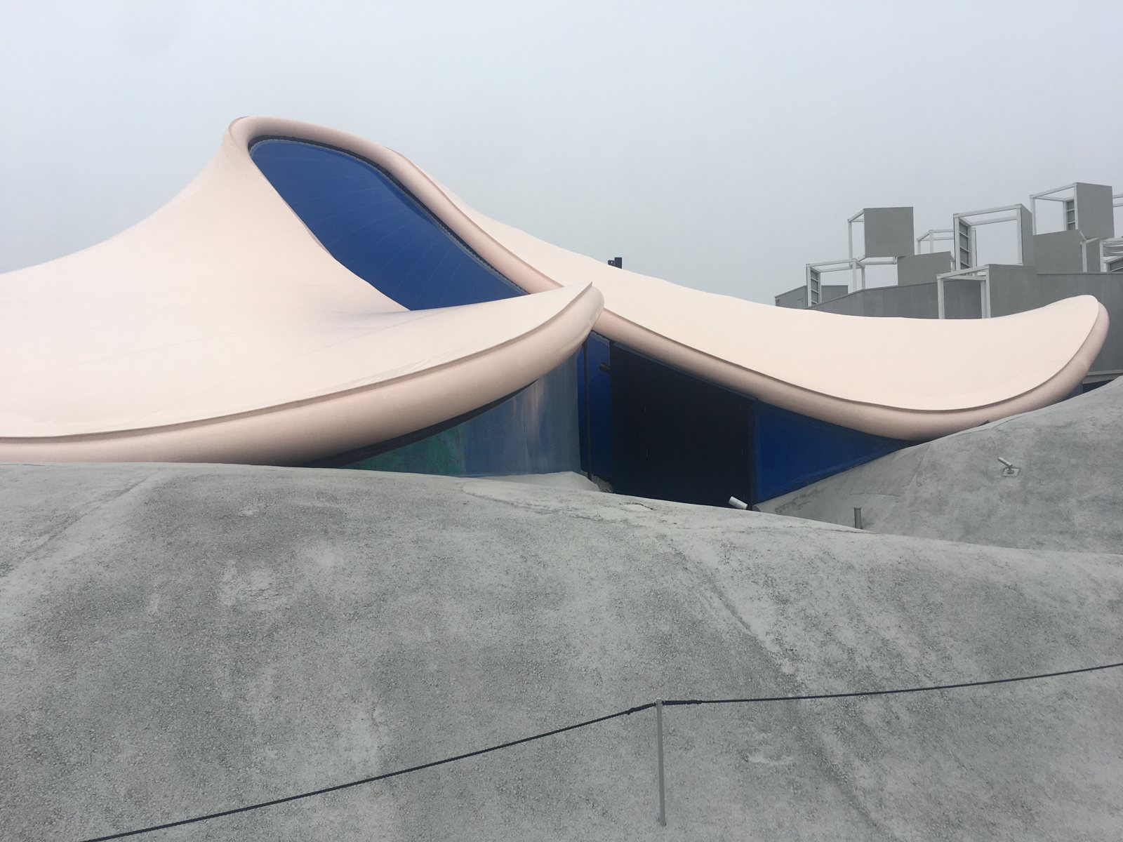 いのち動的平衡館