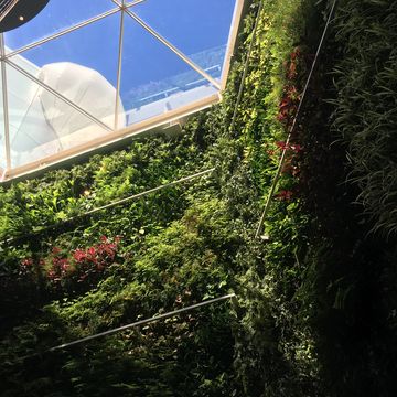 ベルギー