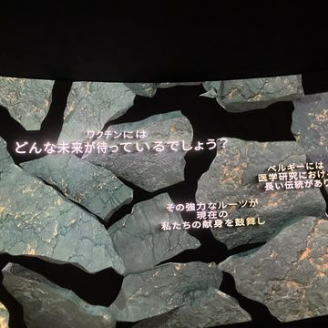 ベルギー