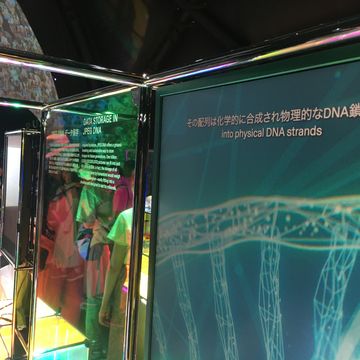 スイス