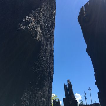 会場の景色（移動中）