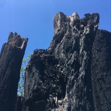 会場の景色（移動中）