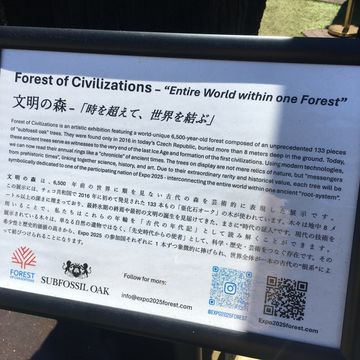 会場の景色（移動中）