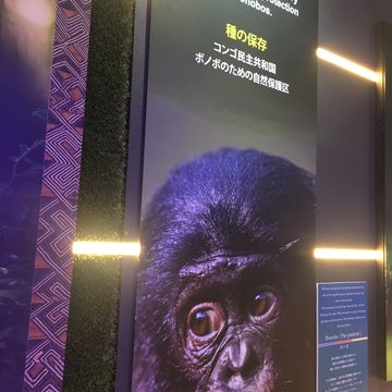 コモンズD