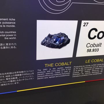 コモンズD