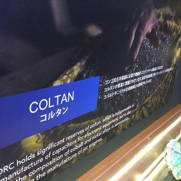 コモンズD