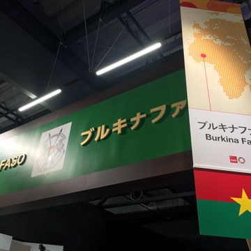 コモンズD