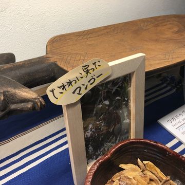 コモンズD