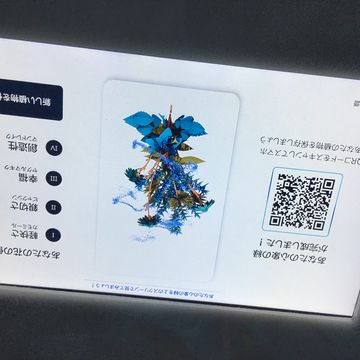 ポーランド