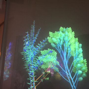 ポーランド