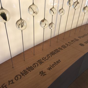 ポーランド