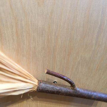 ポーランド