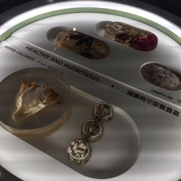 ポーランド
