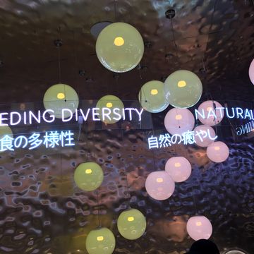 ポーランド