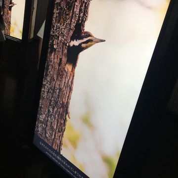 電力館