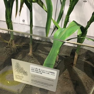 電力館