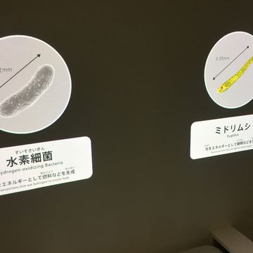 電力館