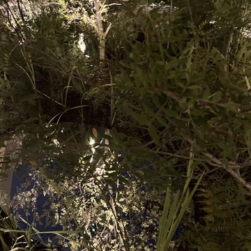 ウーマンズパビリオン