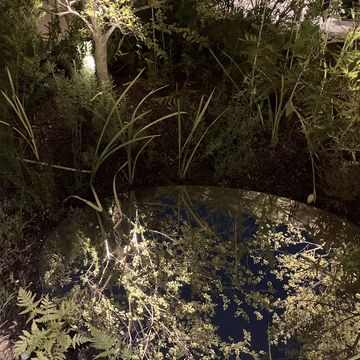 ウーマンズパビリオン