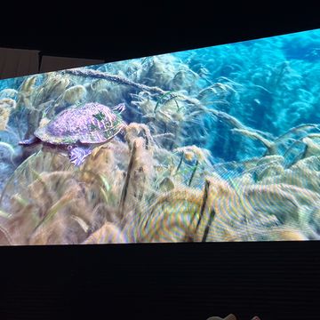 アメリカ